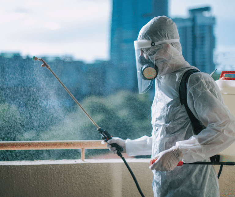 شركة مكافحة حشرات في الفجيرة