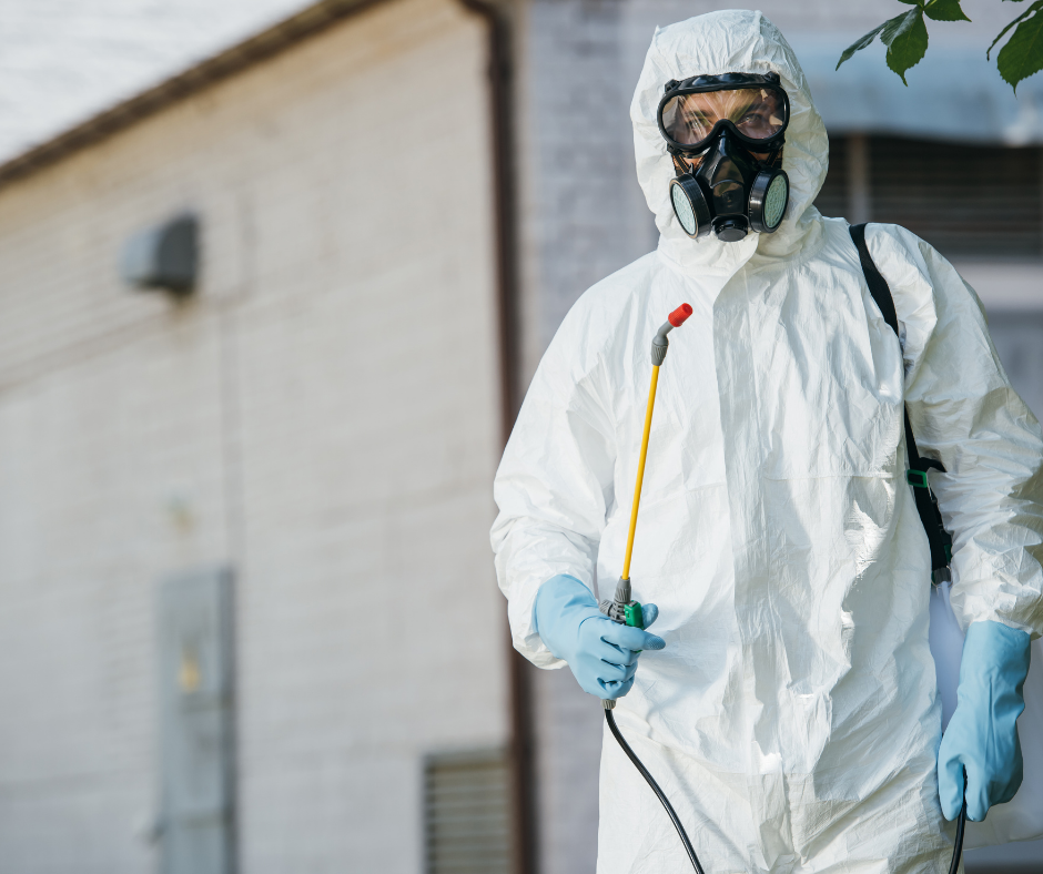 شركة مكافحة حشرات في راس الخيمة