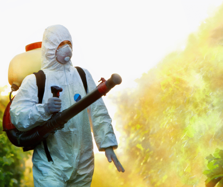 شركة مكافحة حشرات في ام القيوين