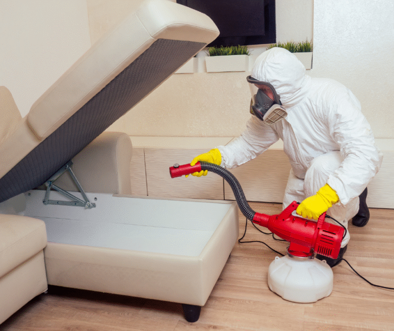 شركة مكافحة حشرات في دبي