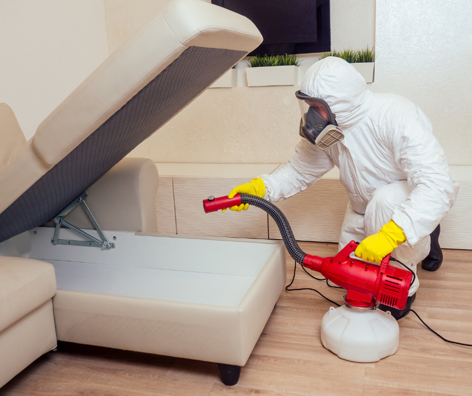 شركة مكافحة حشرات في دبي